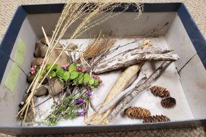 A shoe box of assorted sticks and twigs